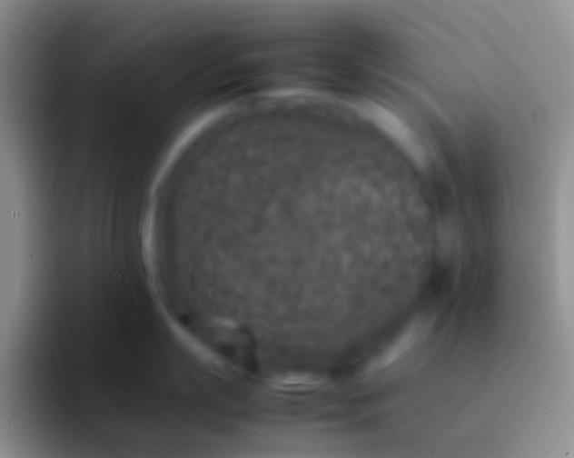 X0000092100863200709262140