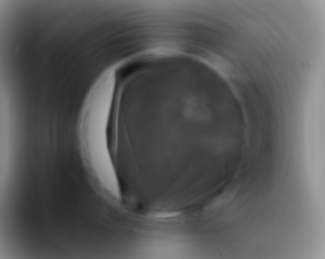 X0000092100864200709262140