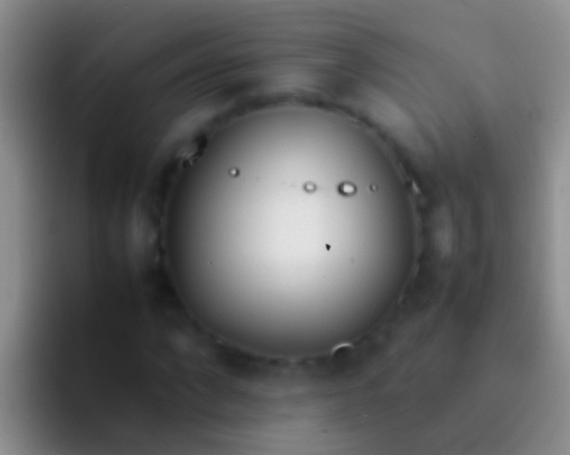 X0000092100872200709262139