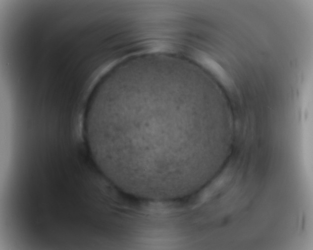 X0000092100875200709262139