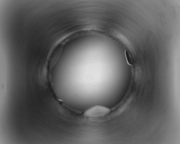 X0000092100876200709262139