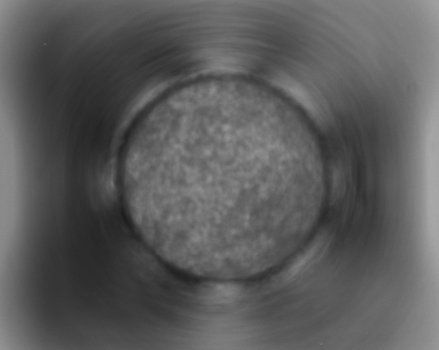 X0000092100878200709262139