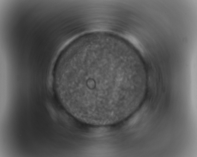 X0000092100879200709262139