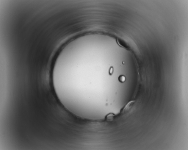 X0000092100880200709262139