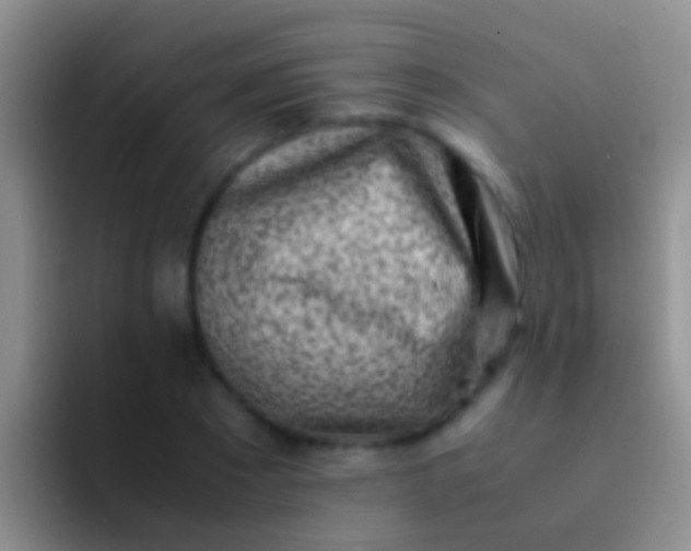 X0000092100881200709262139