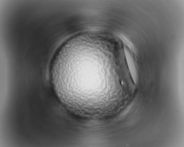 X0000092100883200709262139