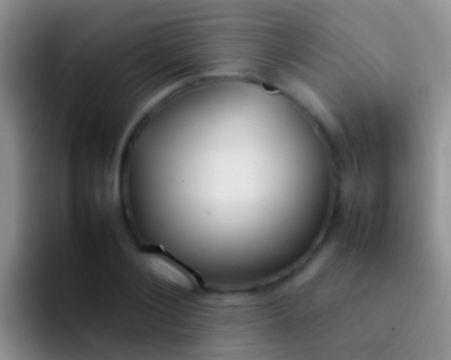 X0000092100884200709262139