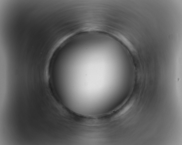 X0000092100885200709262139