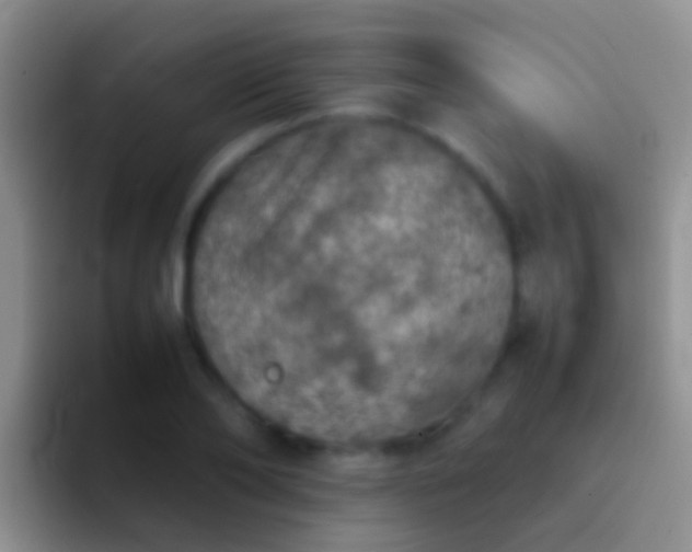 X0000092100886200709262139