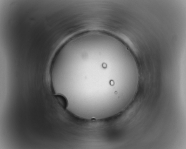 X0000092100887200709262139