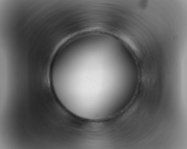 X0000092100888200709262139