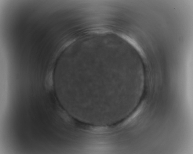 X0000092100889200709262139