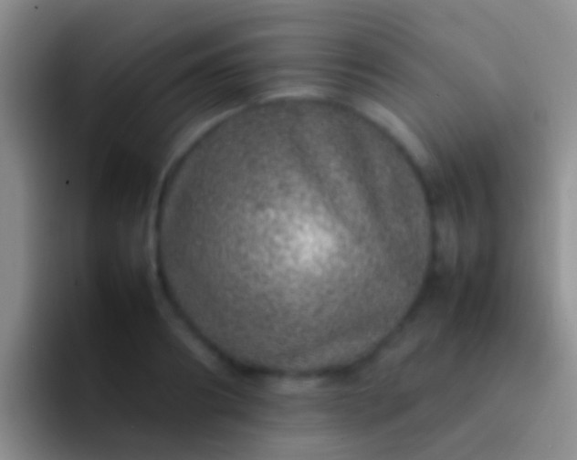 X0000092100890200709262139