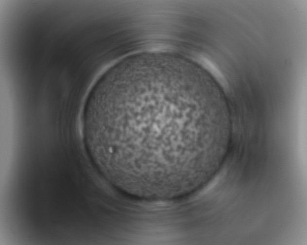 X0000092100891200709262139