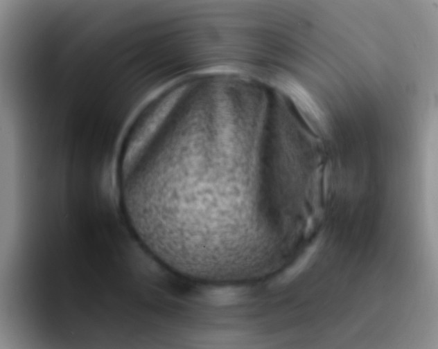 X0000092100892200709262139