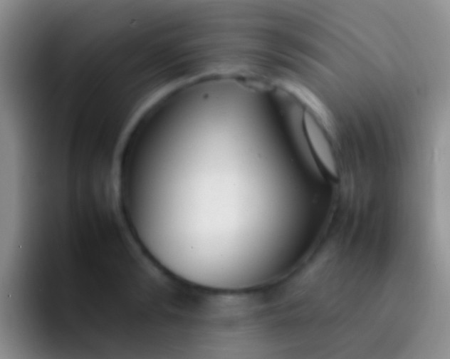 X0000092100894200709262139