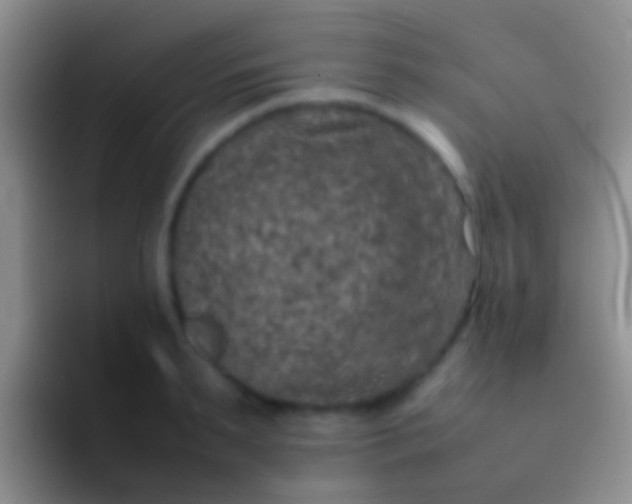 X0000092100895200709262139