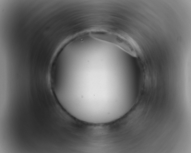 X0000092100896200709262139