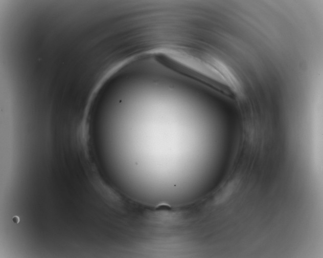 X0000092100900200709262139