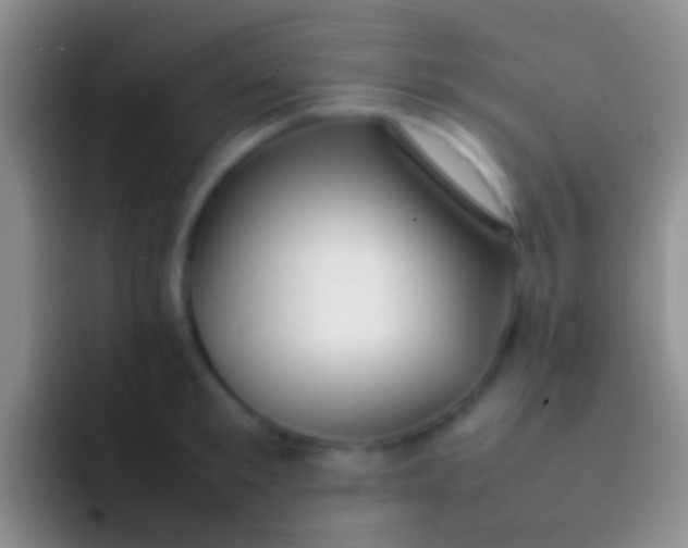 X0000092100901200709262139