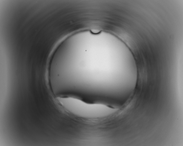 X0000092100904200709262139