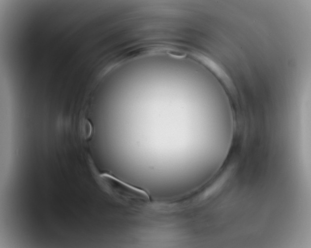 X0000092100905200709262139