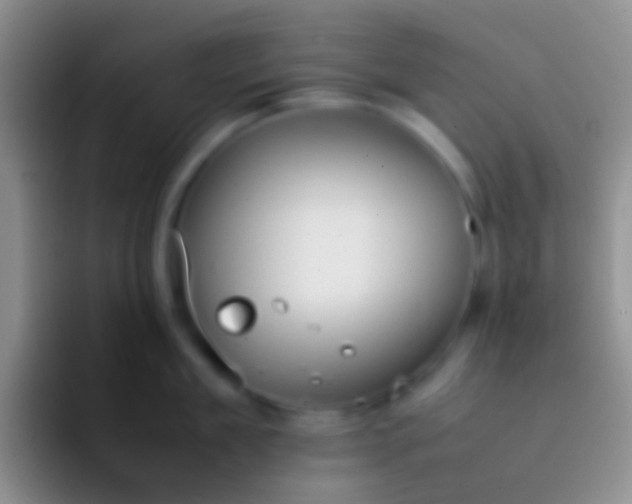 X0000092100909200709262139