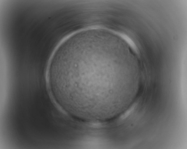 X0000092100911200709262139