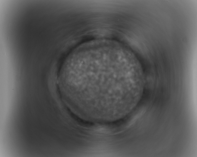 X0000092100913200709262138