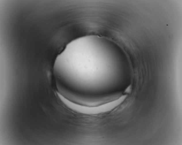 X0000092100916200709262138