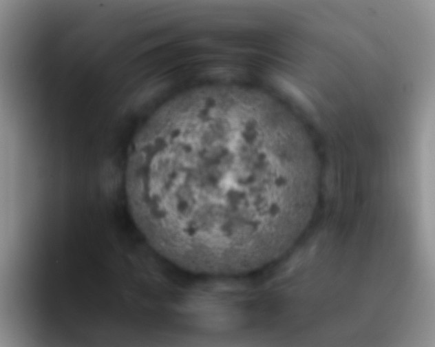 X0000092100917200709262138