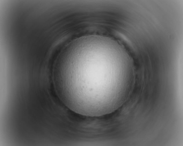 X0000092100919200709262138