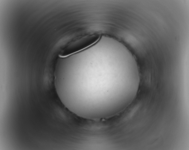 X0000092100920200709262138