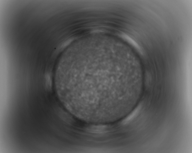 X0000092100921200709262138