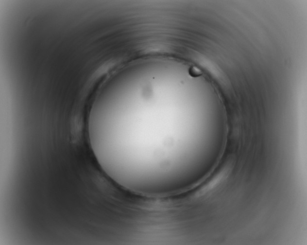 X0000092100922200709262138