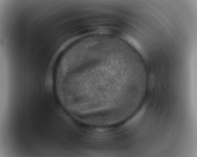 X0000092100923200709262138