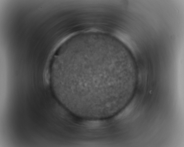 X0000092100925200709262138