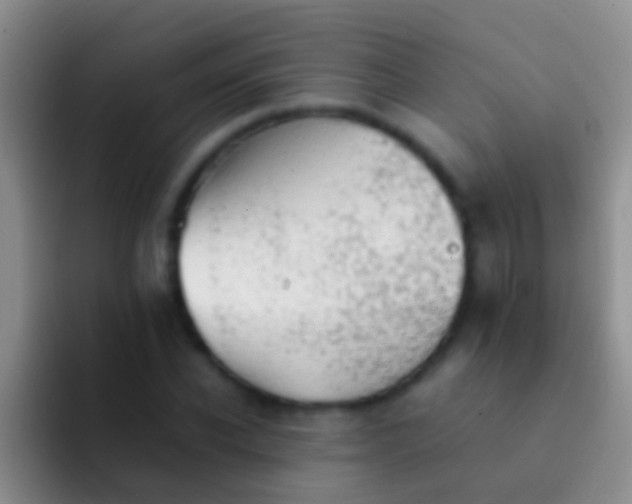 X0000092100926200709262138