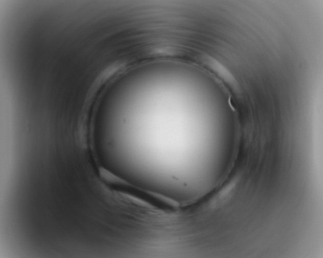 X0000092100930200709262138