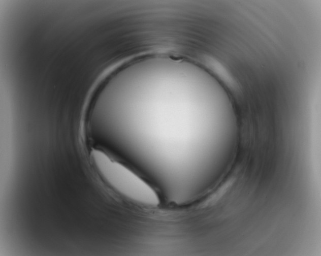 X0000092100932200709262138