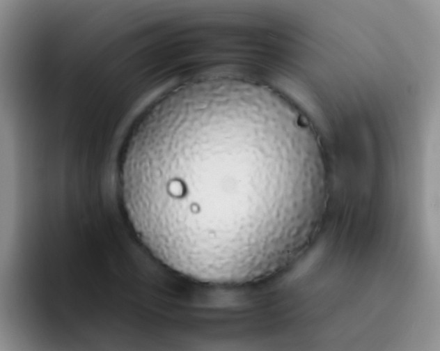 X0000092100933200709262138