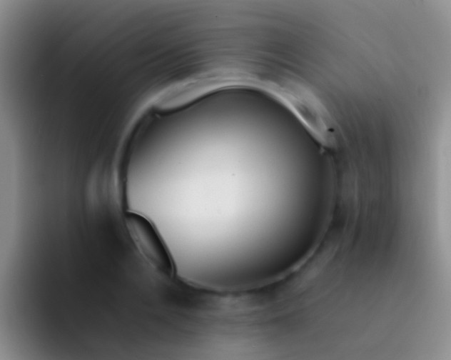 X0000092100936200709262138