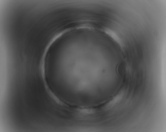 X0000092100941200709262139