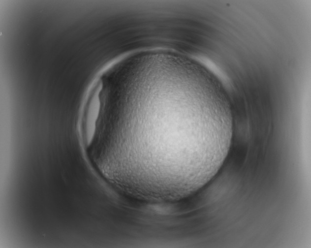 X0000092100943200709262139