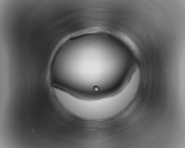 X0000092100948200709262139