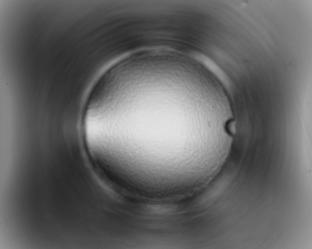 X0000092100951200709262139