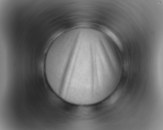 X0000092100954200709262139