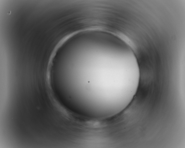 X0000092100956200709262139