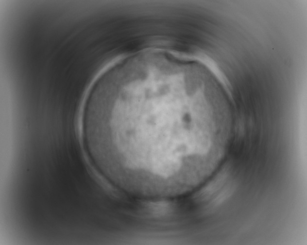 X0000092100957200709262139