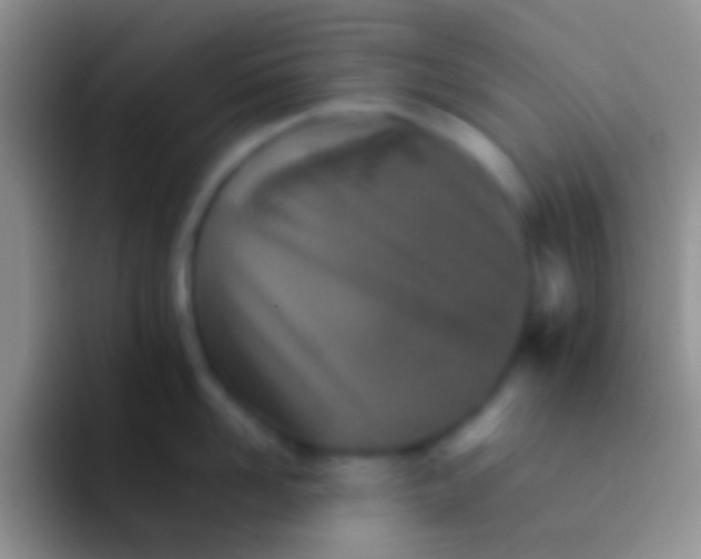 X0000092100958200709262139